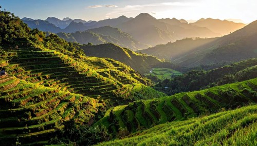 Early morning light bathes Philippines rice terraces cascading down mountain slopes, beautiful