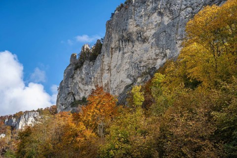 Distinctive Jurassic limestone cliffs in the upper Danube Valley, surrounded by autumn vegetation,