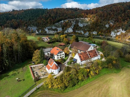 Aerial view of Käppeler Manor with St. George's Basilica near Thiergarten in the Upper Danube