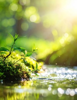 Beautiful spring detailed stream of fresh water, vibrant blooming young green plants, wallpaper