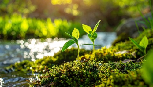 Beautiful spring detailed stream of fresh water, vibrant blooming young green plants, wallpaper
