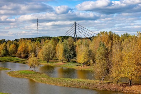 Wesel, Lower Rhine, North Rhine-Westphalia, Germany - autumn on the Lippe, trees with colorful