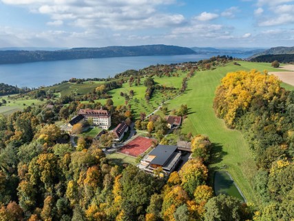 Aerial view of Lake Constance, Überlinger See, surrounded by autumn vegetation with Spetzgart