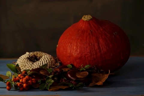 Autumn still life with pumpkin, sunflowers, chestnuts, October, Germany