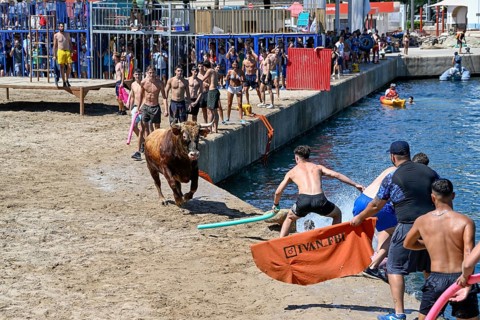 Bous a la Mar Fair, in English Bulls in the Sea, Bullfighting, Javea or Xàbia, Alicante Province,