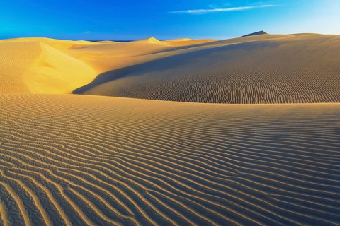 Sand dunes, Maspalomas, Playa del Ingles, Gran Canaria, Canary Islands, Spain