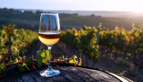 A glass of 10-year-old tawny wine placed on a barrel in a vineyard restaurant, vineyard landscape