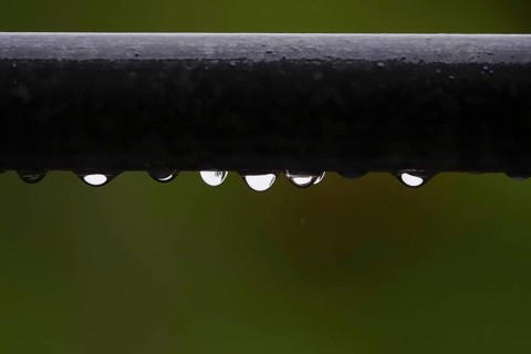 Drops of water, rainy weather, Germany