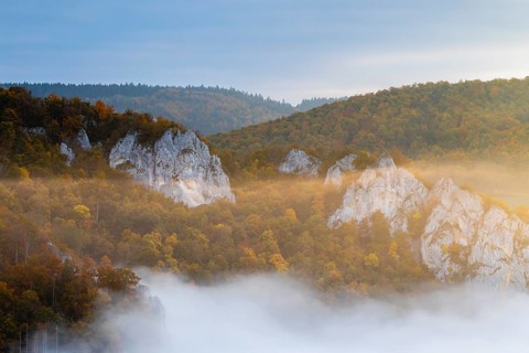View from the Knopfmacherfels into the Danube valley, limestone rock, rock face, mixed forest,