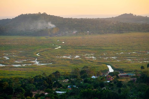 Landscape, Lake Victoria and Mabamba Swamp, Lake Victoria, Uganda