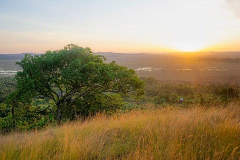 Sunset, Landscape, Lake Victoria and Mabamba Swamp, Lake Victoria, Uganda