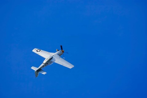 A North American P-51 Mustang of the flying group Flying Bulls, the Nooky Booky IV during an air