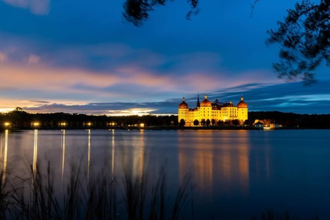 Moritzburg Castle in the blue hour, castle pond, reflection, sunset, common reed (Phragmites