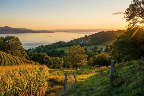 Panorama, Lake and mountains, Tour-de-Gourze, Riex, Sunset, Lavaux, UNESCO World Heritage Site,