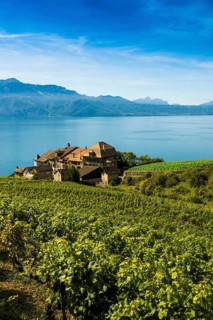 Picturesque village in the vineyards by the lake, Epesses, Lavaux, UNESCO World Heritage Site, Lake