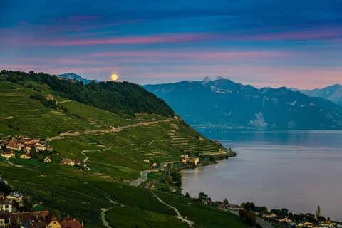 Picturesque village in the vineyards by the lake, Epesses, sunset, full moon, Lavaux, UNESCO World