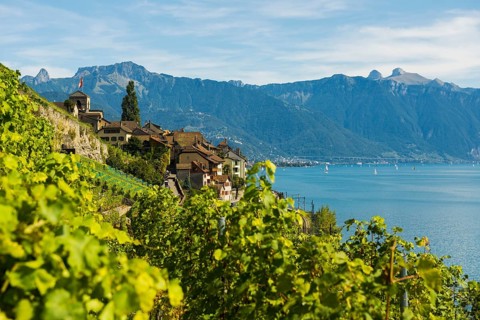 Picturesque village in the vineyards by the lake, Saint-Saphorin, Lavaux, UNESCO World Heritage