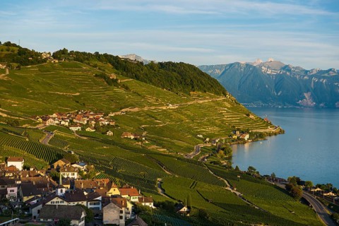 Picturesque village in the vineyards by the lake, Epesses, sunset, Lavaux, UNESCO World Heritage
