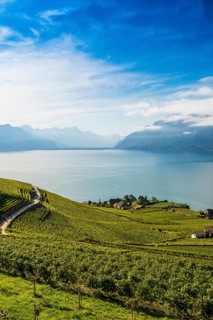 Picturesque village in the vineyards by the lake, Rivaz, Lavaux, UNESCO World Heritage Site, Lake