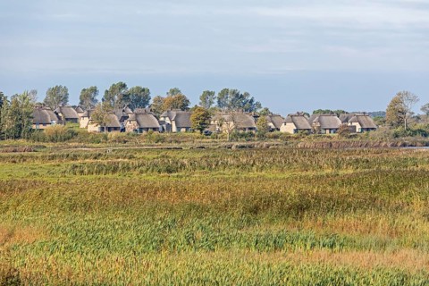Holiday village Reetdorf Geltinger Birk, Geltinger Birk nature reserve, Geltinger Bucht,