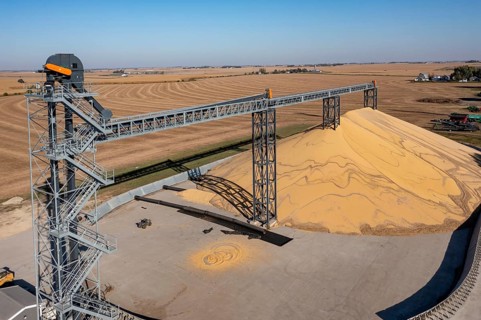 Inwood, Iowa - Newly-harvested corn is piled up at Cooperative Farmers Elevator (CFE). The pile