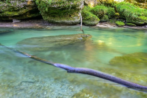 Erlauf Gorge, Purgstall an der Erlauf, Lower Austria, Austria