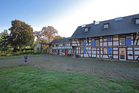 Half-timbered house in the inner courtyard of the Kleeburg castle built in the 14th century, moated
