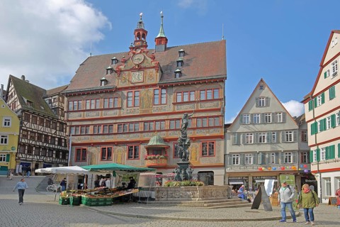Renaissance town hall with Neptune fountain, market stall and pedestrians, Am Markt, Tübingen,
