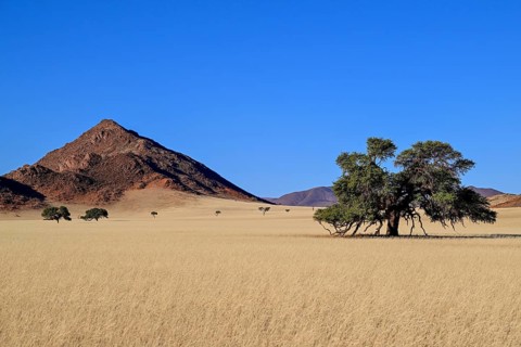 Landscape on the Kanaan farm of the nature conservation organisation Naankuse, Tirasberge, Karas