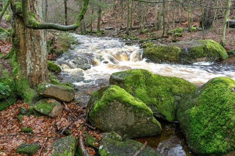 The Ilse at the Heinrich-Heine-Weg near Ilsenburg, Saxony-Anhalt, Germany