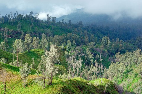 Landscape volcano Ijen, Indonesia