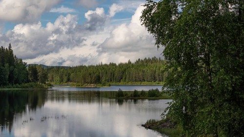 Quiet forest lake, Eidsvoll, Akershus, Norway