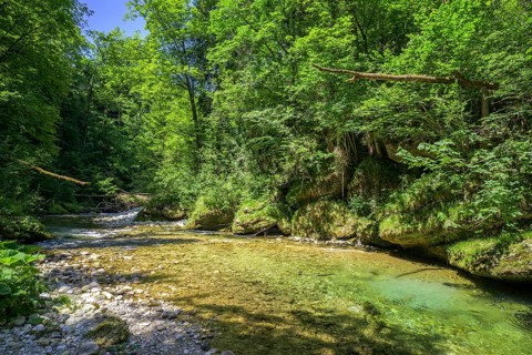 Wanderung entlang der Krummen Steyrling, Molln, Oberösterreich, Österreich