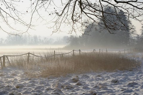Winterlandschaft, aufsteigender Bodennebel im Licht der Morgensonne, Nordrhein-Westfalen,