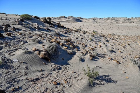 Wüstenlandschaft bei Pomona, Diamentensperrgebiet, bei Lüderitz, Region Karas, Namibia