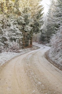 Forest road going through a mixed forest white from roarfrost on a sunny day in winter, Bavaria,