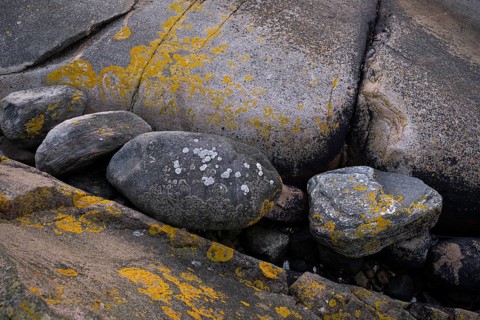 Bohus granite with yellow lichen, Resö Island, Bohuslän, Skagerrak, Sotenäs, Västra Götalands län,