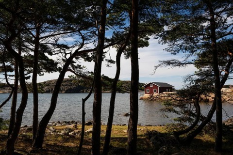 Falun red house between pine trees in a bay, archipelago landscape, Resö island, Bohuslän,
