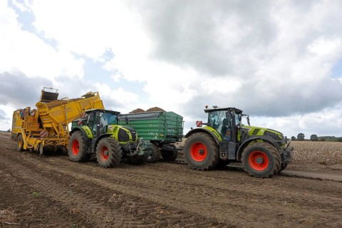 Agricultural harvesting of potatoes with potato harvester ROPA Keiler 2 in front of tractor Claas