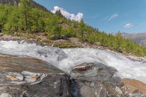 A rushing river cascades over smooth stones, surrounded by lush green trees and majestic mountains.