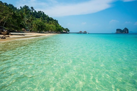 White sandy beach and coconut palms, Sunrise Beach, Koh Great white shark, Ko Ngai, Krabi Province,