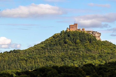 Brug Trifels, Annweiler, mixed forest, sandstone rock, Pfläzerwald, Rhineland-Palatinate, Germany