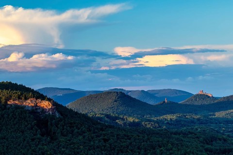 View of Trifels Castle and Anebos Castle, mixed forest, Annweiler, Pfläzerwald,
