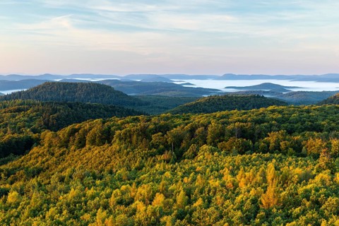 View over the Palatinate Forest, mixed forest, dawn, fog, Luipoldsturm, Hermansbergdorf,