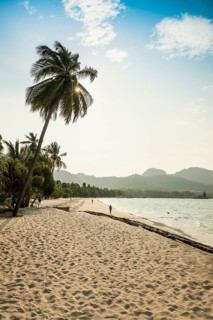 White sandy beach and coconut palms, Pearl Beach, Koh Mook, Trang Province, Southern Thailand,