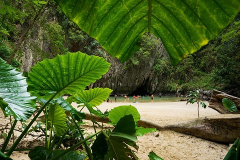 Sandy beach beach with cave in the rainforest, Emerald Cave, Koh Mook, Trang Province, Southern
