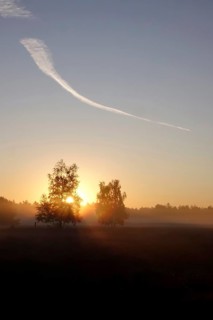 Morning atmosphere in a heath landscape, morning sun and fog, summer, Germany