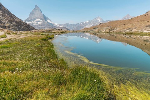 A calm lake reflects a high mountain, with gentle grasses covering the edge of the water. The scene