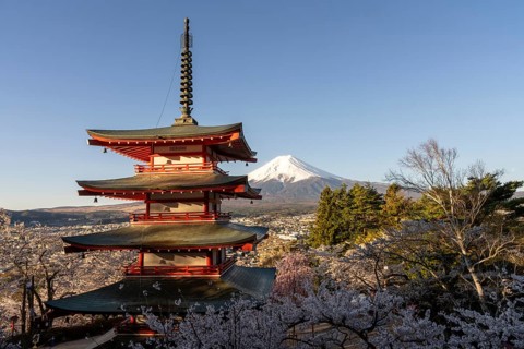 View of Mount Fuji, with the Chureito Pagoda and blossoming cherry trees in the foreground,