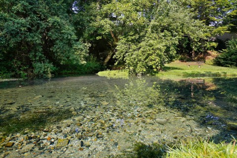 Lauter spring, Große Lauter, karst spring, body of water, park, idyll, meadow, lawn, trees,